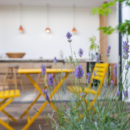 Maison-Loft De Standing Autour De Son Patio Vannes Eksteriør billede