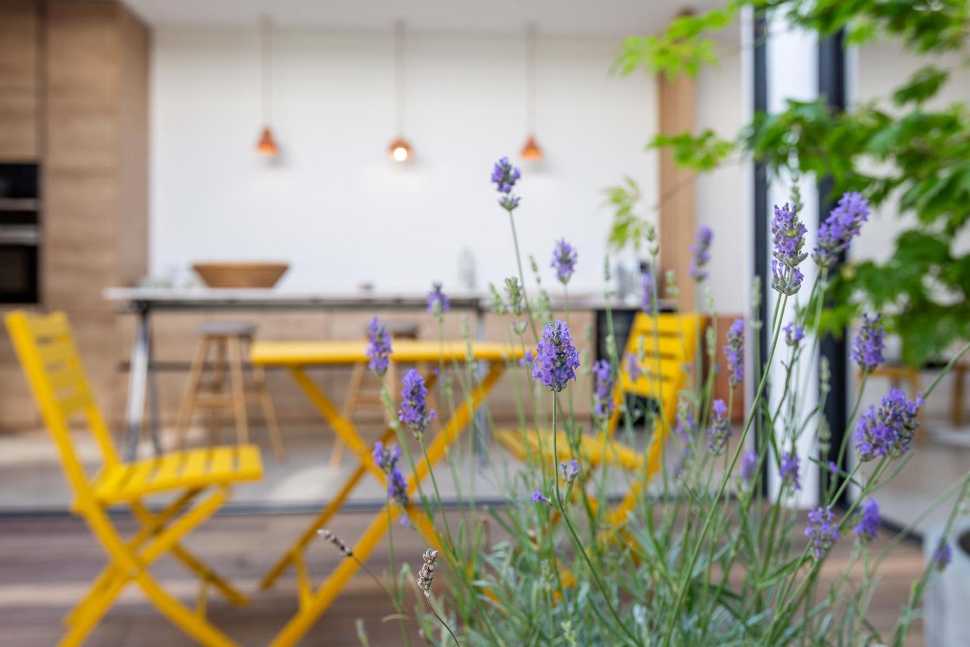 Maison-Loft De Standing Autour De Son Patio Vannes Eksteriør billede